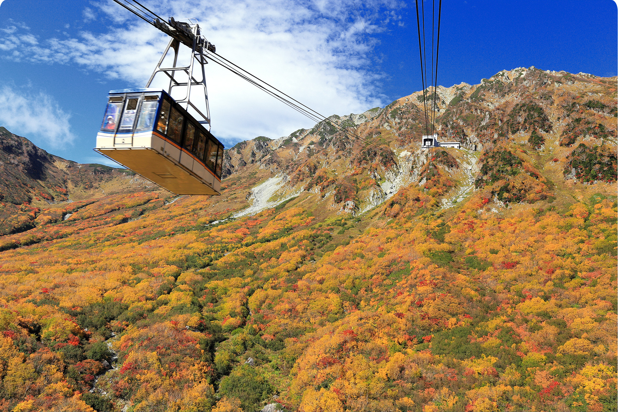 株式会社スカイツアーズ