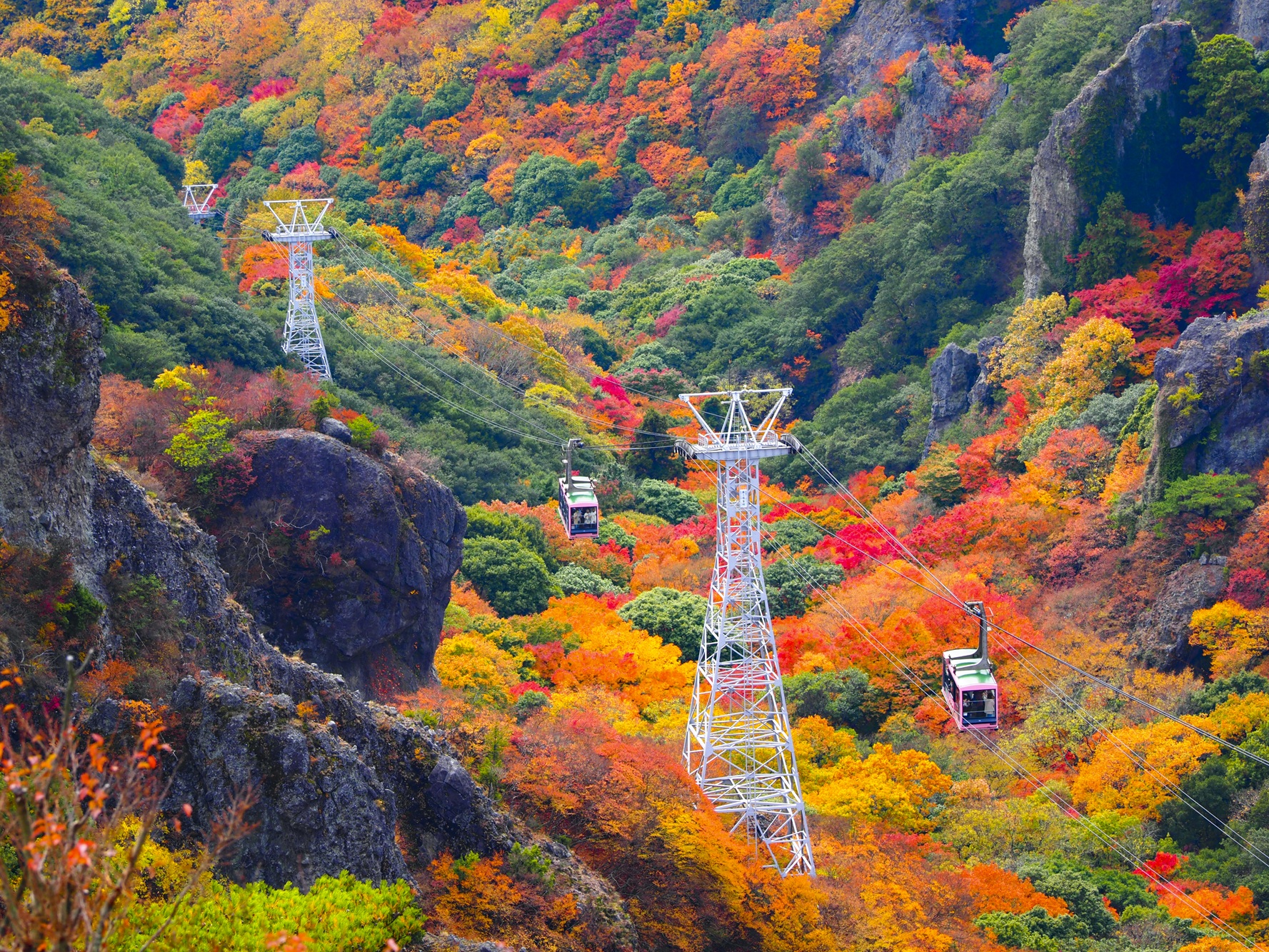 イメージ画像